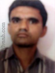VHA2431  : Patel Kadva (Gujarati)  from  Mehsana
