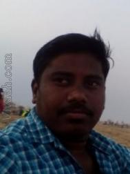 VHA7732  : Sozhiya Vellalar (Tamil)  from  Karur