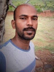 VHA7985  : Naidu (Telugu)  from  Coimbatore