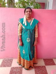 VHB5660  : Mudaliar Arcot (Tamil)  from  Chennai