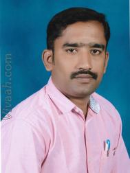 VHB7617  : Kongu Vellala Gounder (Tamil)  from  Karur