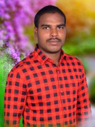 VHC5683  : Chettiar (Tamil)  from  Tiruvannamalai