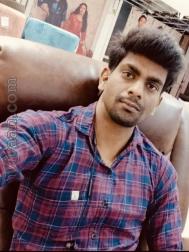 VHC8271  : Vanniyakullak Kshatriya (Tamil)  from  Villupuram
