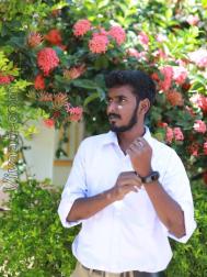 VHD0518  : Adi Dravida (Tamil)  from  Salem (Tamil Nadu)
