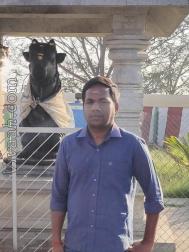 VHD7203  : Gavara (Tamil)  from  Coimbatore