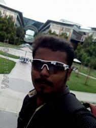 VHE2550  : Mudaliar Saiva (Tamil)  from  Chennai