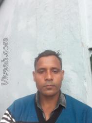 VHE5217  : Brahmin (Hindi)  from  Shamli