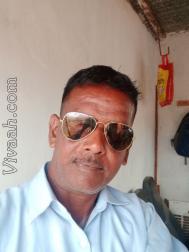 VHF2729  : Brahmin (English)  from  Ambala