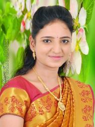 VHF7381  : Arya Vysya (Telugu)  from  Vijayawada