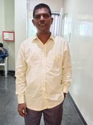 VHF8521  : Brahmin Vaidiki (Telugu)  from  Vijayawada