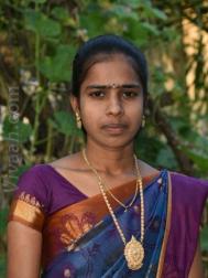 VHG2185  : Scheduled Caste (Tamil)  from  Thiruvarur
