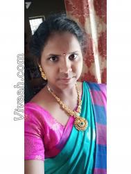 VHG2304  : Mudaliar Senguntha (Tamil)  from  Bangalore