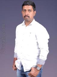 VHG5319  : Brahmin Niyogi Aruvela (Telugu)  from  Kakinada