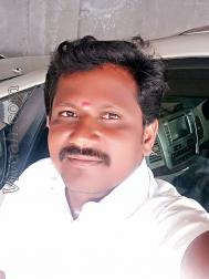 VHG7037  : Adi Dravida (Tamil)  from  Salem (Tamil Nadu)