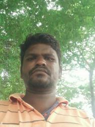 VHG7937  : Kuravan (Tamil)  from  Vellore