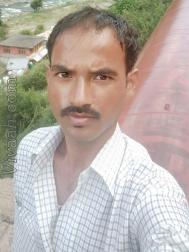 VHG8332  : Rajput (Himachali/ Pahari)  from  Mandi