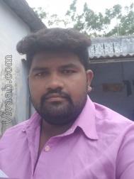 VHG8664  : Brahmin Tamil (Tamil)  from  Salem (Tamil Nadu)