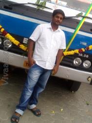 VHH1733  : Kongu Vellala Gounder (Tamil)  from  Tiruppur
