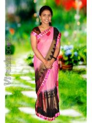VHH3231  : Vellama (Telugu)  from  Eluru