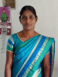 VHH3743  : Devendra Kula Vellalar (Tamil)  from  Thanjavur