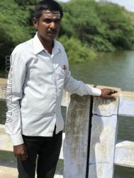 VHH3971  : Kongu Vellala Gounder (Tamil)  from  Erode