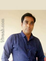VHH8694  : Patel Kadva (Gujarati)  from  Navsari