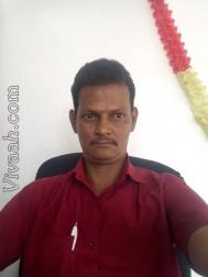 VHI5607  : Brahmin (Tamil)  from  Chennai