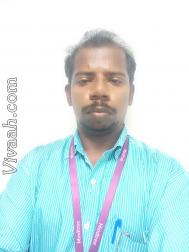 VHI8183  : Viswabrahmin (Tamil)  from  Chennai