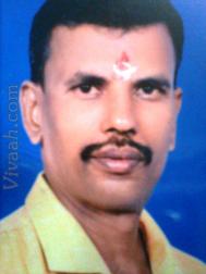 VHJ5138  : Vellalar (Tamil)  from  Pudukkottai