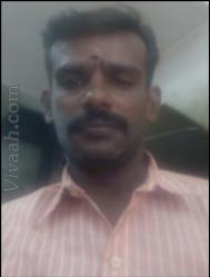 VHJ8105  : Gavara (Telugu)  from  Madurai