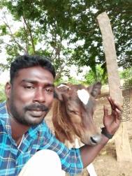 VHL2704  : Devendra Kula Vellalar (Tamil)  from  Madurai