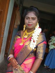 VHL3850  : Adi Dravida (Tamil)  from  Chennai