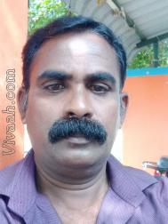 VHL3936  : Arekatica (Tamil)  from  Chennai
