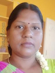VHL4025  : Vanniyakullak Kshatriya (Tamil)  from  Tiruvallur