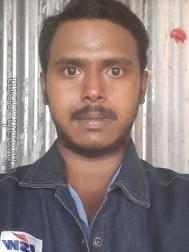 VHL6884  : Vanniyakullak Kshatriya (Tamil)  from  Salem (Tamil Nadu)