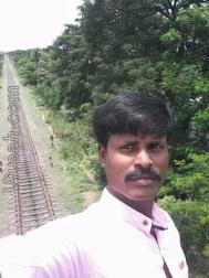 VHM4105  : Adi Dravida (Tamil)  from  Perambalur