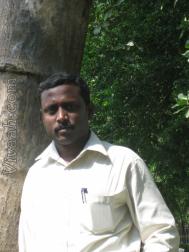 VHM4186  : Devendra Kula Vellalar (Tamil)  from  Rasipuram