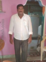 VHN0711  : Reddy (Telugu)  from  Cuddapah