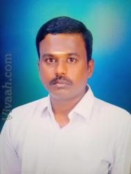 VHN3289  : Devanga (Kannada)  from  Coimbatore