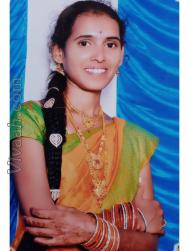 VHN8067  : Valmiki (Telugu)  from  Anantapur