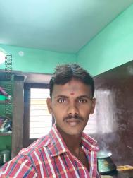 VHN8068  : Vanniyar (Tamil)  from  Krishnagiri