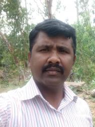 VHN8844  : Kongu Vellala Gounder (Tamil)  from  Coimbatore