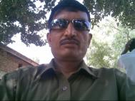 VHO9689  : Patel Leva (Gujarati)  from  Vadodara