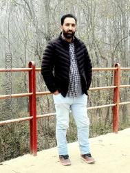 VHO9994  : Hanafi (Kashmiri)  from  Srinagar