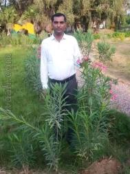 VHP0113  : Brahmin Jangid (Rajasthani)  from  Rohtak