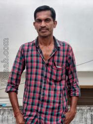 VHP1100  : Reddy (Telugu)  from  Warangal