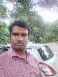 VHP1137  : Kongu Vellala Gounder (Tamil)  from  Tiruppur