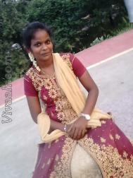 VHP2897  : Adi Dravida (Tamil)  from  Chennai