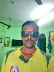 VHP3025  : Sozhiya Vellalar (Tamil)  from  Erode