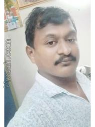 VHP3025  : Sozhiya Vellalar (Tamil)  from  Erode